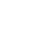 New Skoda