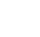 New Skoda